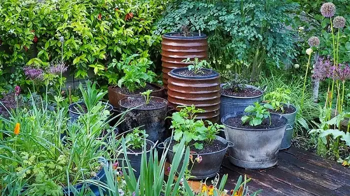 Learning to Garden in My Free Time