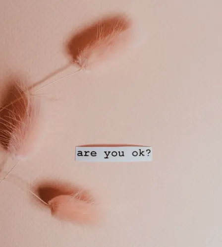 Stop Seeking Validation: How to Build Self-Trust and Confidence