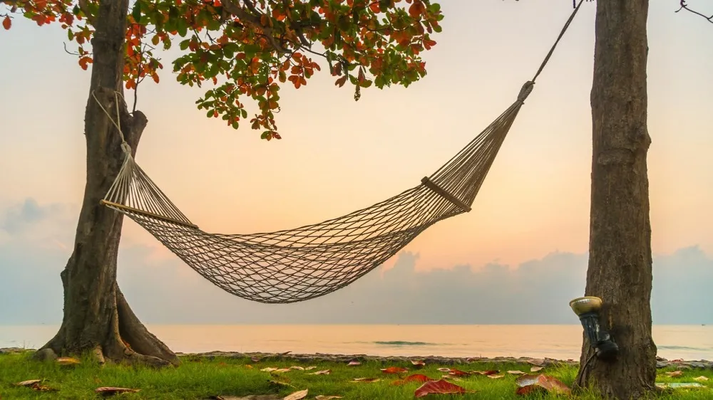 Best Books About Reading People: 5 Books to Understand Human Behavior Better