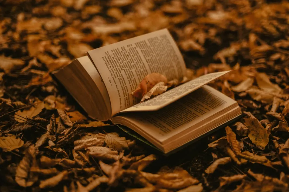 Best Books for Better Conversations: 3 Books That Will Change How You Communicate