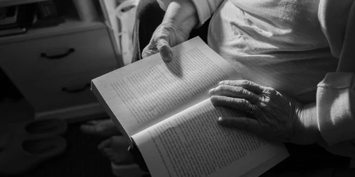 How to Find Inner Peace Books That Quiet the Noise