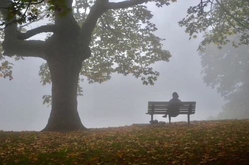 Can Anxiety Make You Feel Like You Have to Pee? The Surprising Connection